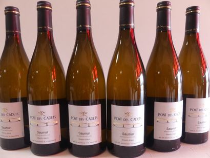 null 6 bouteilles de Saumur Blanc 2013 Cépage Chemin Le Pont des Cadets