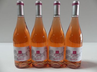 null 4 bouteilles de Rosé Syrah 2016 L'expression Libre IGP