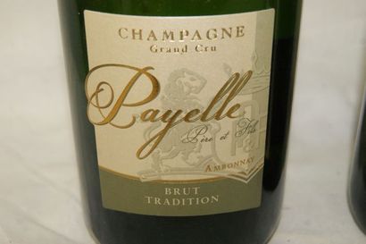 null Lot de deux bouteilles de champagne : Alain Roddier 2000 et Payelle