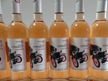 null 12 bouteilles de Rosé 2016 la Cuvée V6 Ludovic de Beauséjour Cinsault Rosé