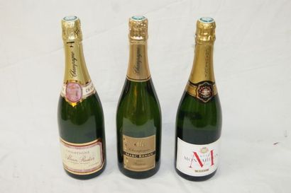 null Lot de 3 bouteilles de champagne : Montaudon, Marc Renan, Alain Roddier