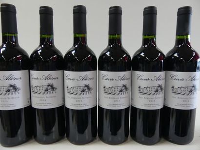 null 6 bouteilles de Cuvée Alienor 2014 Bordeaux supérieur Récoltant