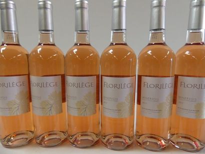 null 6 bouteilles de Rosé sec 2017 Le Florilège Minervois Récoltant