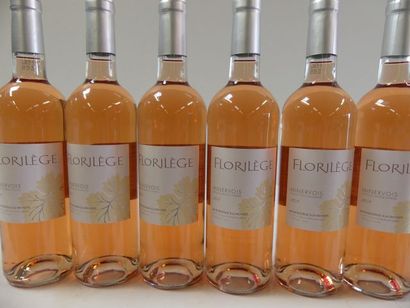 null 6 bouteilles de Rosé sec 2017 Le Florilège Minervois Récoltant