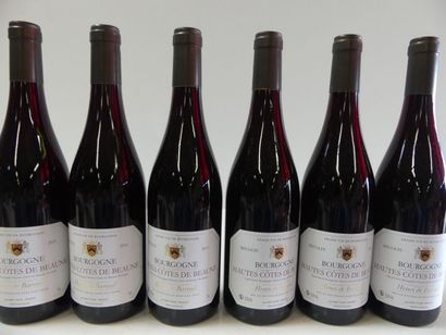 null 6 bouteilles Hautes Côtes de Beaune 2015 Bourgogne Henri de Bareuil