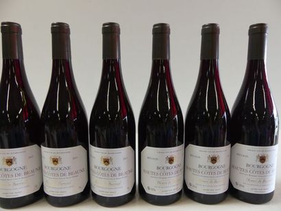 null 6 bouteilles Hautes Côtes de Beaune 2015 Bourgogne Henri de Bareuil