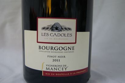 null Magnum de Bourgogne, Pinot Noir, domaine les Cadoles, 2011