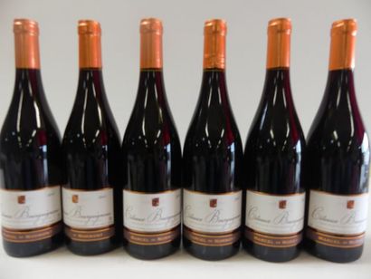 null 6 bouteilles de Côteaux Bourguignons 2015 Bourgogne Marcel de Normont 2015