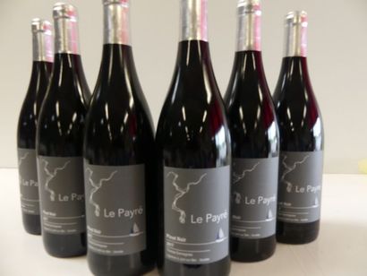 null 6 bouteilles de Pinot Noir 2017 Domaine Thomas Dormegnies Le Payré Val de L...