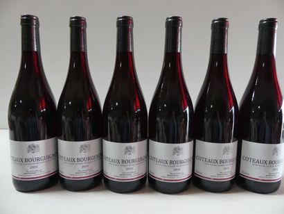 null 6 bouteilles de Bourgogne 2016 Côteaux Bourguignons Benoit Bailly