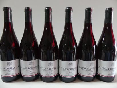 null 6 bouteilles de Bourgogne 2016 Côteaux Bourguignons Benoit Bailly