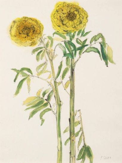 Jean POLLET (né en 1929) Fleurs jaunes Aquarelle sur papier. Signée en bas à droite...