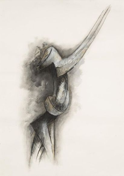 JOHAN BAUDART (né en 1961) 
Libertad, 2016
Fusain, craie blanche et pastel sur papier.
Signé...