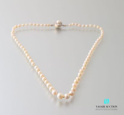 null Collier de 69 perles fines, en chute, de 7,2 à 3,3 mm, certifiées par le Laboratoire...