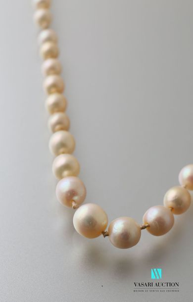 null Collier de 69 perles fines, en chute, de 7,2 à 3,3 mm, certifiées par le Laboratoire...