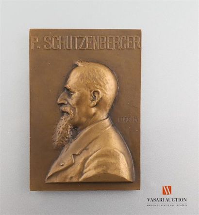 null P.Schutzenberger,1829-1929, chimie minérale matières colorantes industries chimiques...