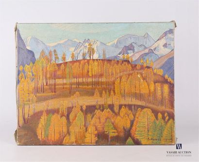 null HERMES Erich (1881-1971) 
Paysage de montagnes et résineux
Huile sur toile 
Signée...