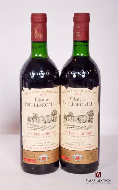 null 2 bouteilles	Château BRULESÉCAILLE	Côtes de Bourg	1985
	Et. un peu tachées (quelques...