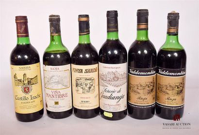 null Lot de 6 bouteilles de vins d'Espagne comprenant :		
1 bouteille	NAVARRA Castillo...