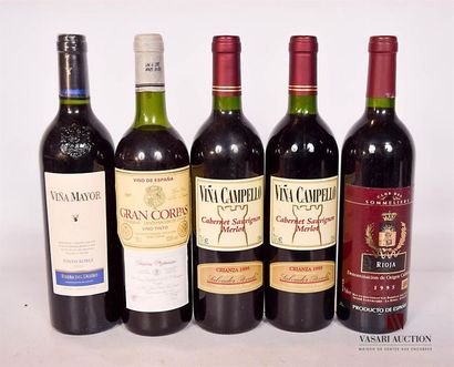 null Lot de 5 bouteilles de vins d'Espagne comprenant :		
1 bouteille	RIBERA DEL...