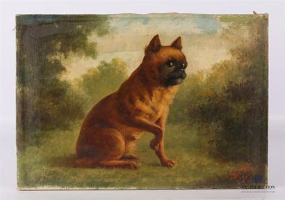 null BRINATI Francesco (1856- ?) 
Griffon bruxellois 
Huile sur toile 
Signée en...