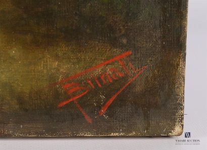 null BRINATI Francesco (1856- ?) 
Griffon bruxellois 
Huile sur toile 
Signée en...