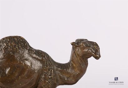 null DUVAL 
Dromedary 
Bonze camel with brown patina
Signed on the
upper terrace....