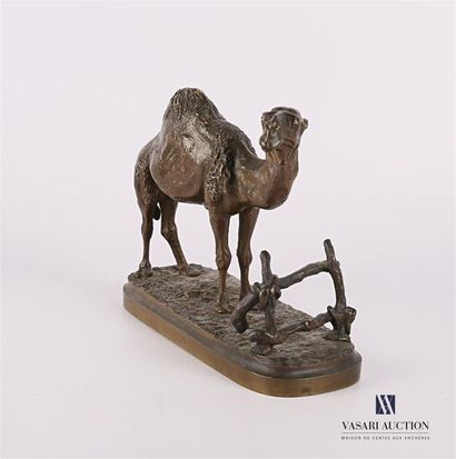 null DUVAL 
Dromedary 
Bonze camel with brown patina
Signed on the
upper terrace....