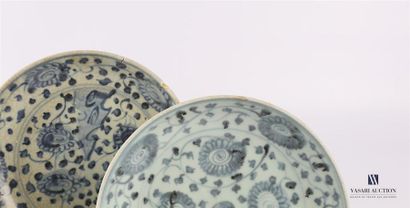 null CHINE
Deux assiettes en porcelaine à décor blanc bleu de fleurs et de branches...