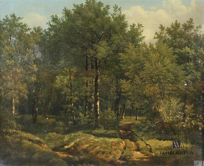 null Barbizon School (19th century) Forest
path
Oil on canvas
(a hole in the canvas,...