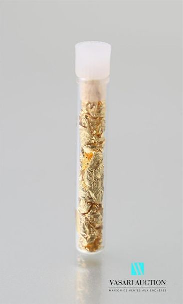 null Une capsule de feuilles d'or 
Poids brut : 2,14 g 