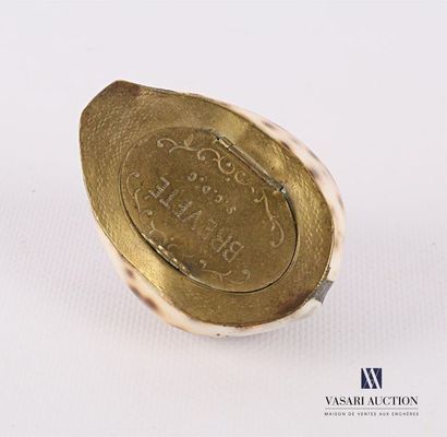 null Snuffbox representing a shell, the hinged brass lid bearing the inscription...