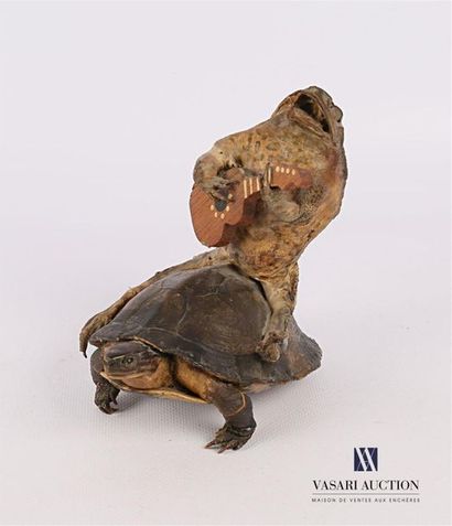 null TAXIDERMIE
Frog playing guitar on the back of a turtle 
High. : 14 cm - Length...