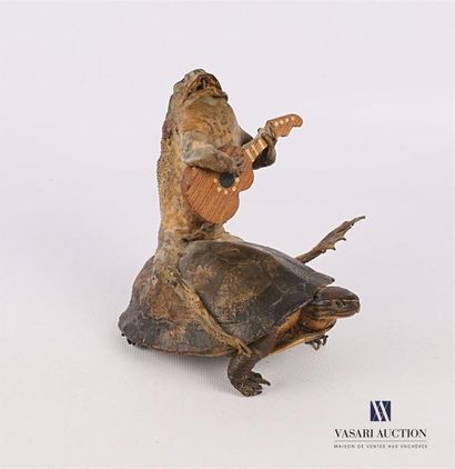 null TAXIDERMIE
Frog playing guitar on the back of a turtle 
High. : 14 cm - Length...