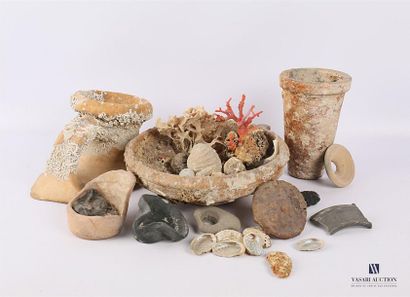null ARCHAEOLOGY Set
of terracotta pieces with marine concretions such as: a libatory...