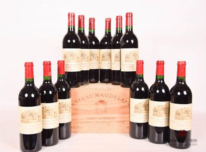 null 12 bouteilles	Château MAGDELAINE	St Emilion GCC	1993

	Présentation et niveau,...