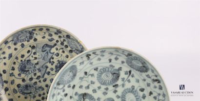 CHINE CHINA
Two porcelain plates with blue-white decoration of flowers and leafy
branches...