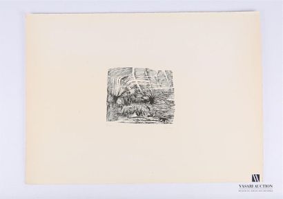 Neuf lithographies Set of nine colour lithographs after Hannes and Walter Schmidt,...