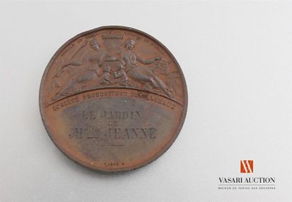 null Justice and Compassion, Hygiene and Morals, Humane Society - Medal, bronze,...