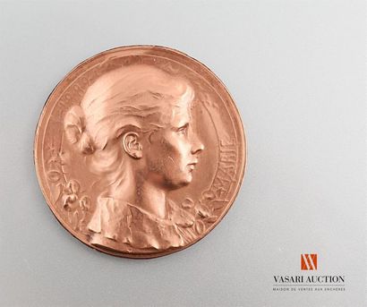 null Marie, 1889, profil féminin, 59 mm, uniface, BE
