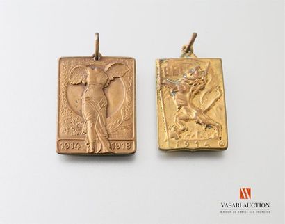 null Médaille rectangulaire 20 x 29 mm, Ixelles à ses glorieux enfants 1914-1918,...