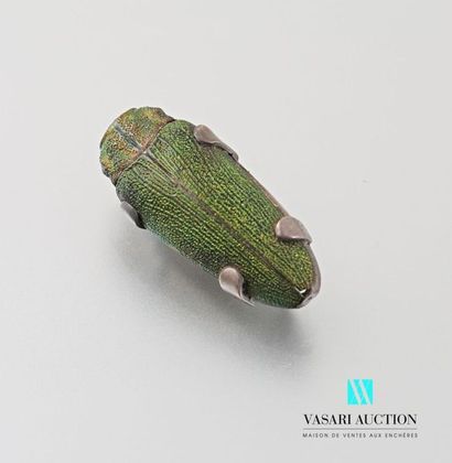 null Silver brooch 800 thousandths set with a beetle (missing the head) Gross 
weight...