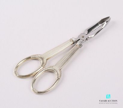null Sugar tongs, silver grips with fluted decoration, stainless steel tongs.
Gross...