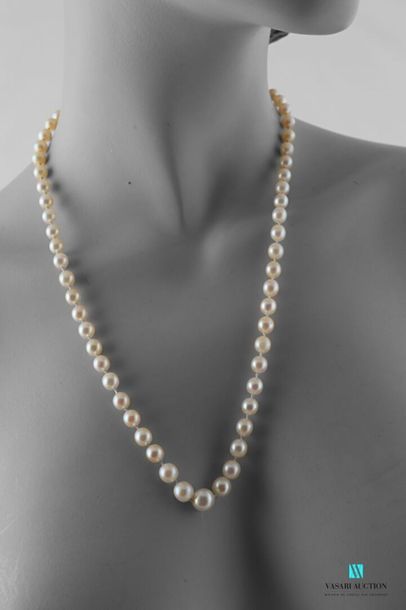 null Collier de perles de culture en chute, la plupart de forme ovale, le fermoir...