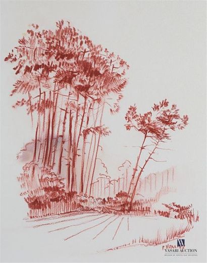 null P. VALLIEZ (XXth century) View
of
Sanguine forest on paper 
Signed lower right...