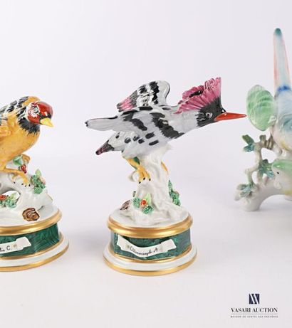 null Suite of four polychrome porcelain subjects representing the Carduelus C. chloroceryre...