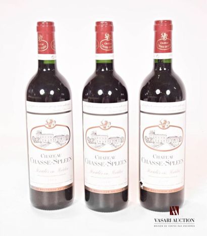 null 3 bouteilles	Château CHASSE SPLEEN	Moulis	2000
	Et.: 2 impeccables, 1 avec une...