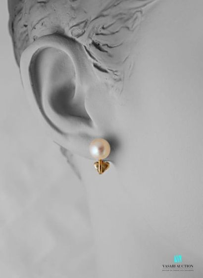 null Cartier, pair of 750 thousandths yellow gold ear clips set with cultured pearls...