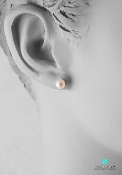 null Paire de boutons d'oreilles en or jaune 750 millièmes ornés d'une perle de culture...