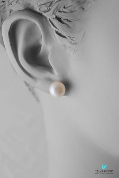 null Paire de boucles d'oreilles en argent 925 millièmes orné de perles blanche.
Poids...